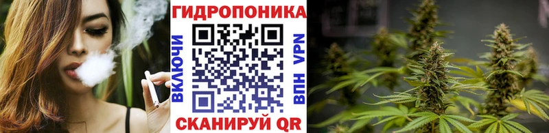 kraken вход  Спас-Деменск  Бошки марихуана Amnesia  продажа наркотиков 